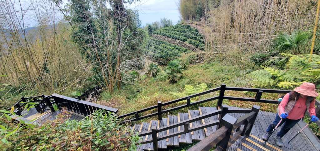 2025-01-18頂石棹步道群_2694154