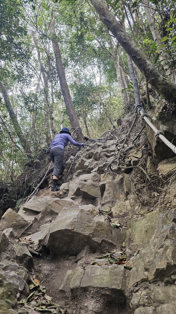 【美美兔走山趣】谷關抓雄-老六白毛_2749951