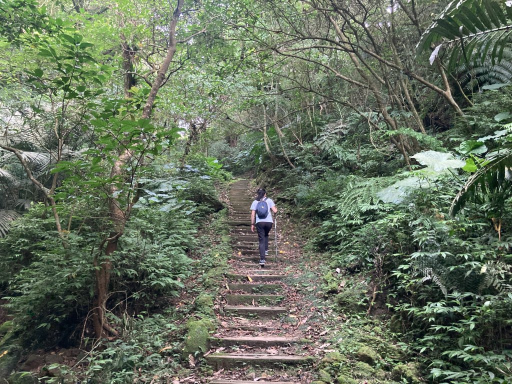 土庫岳_2527742