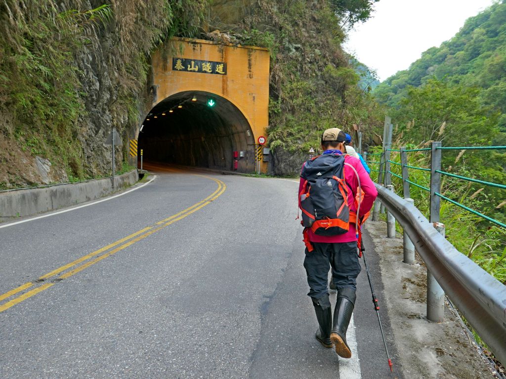 登碧綠神木旁焦土山及加碼綠水文山步道  _375983