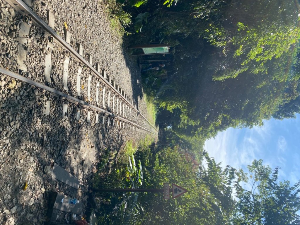 嘉義竹崎-小百岳058-獨立山_1982528