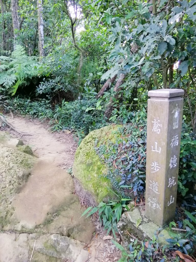 兩個山頭傻傻分不清 。  鳶山福德坑山_731626