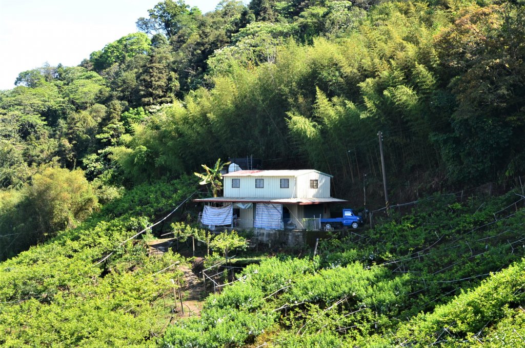 分桂林山 & 尾文坑山 & 罩蘭崎山_1389532