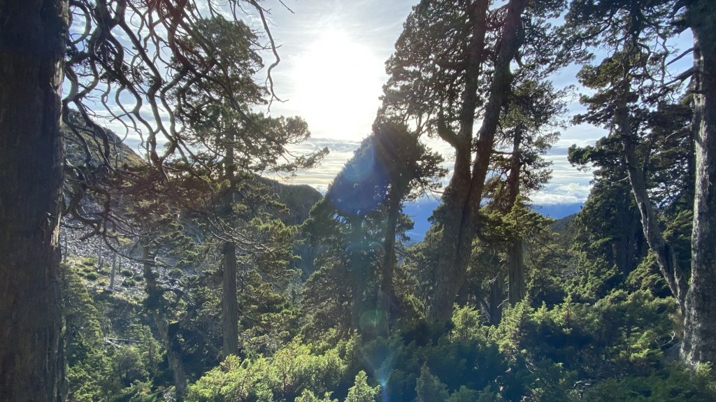 志雪劍之旗_1488341