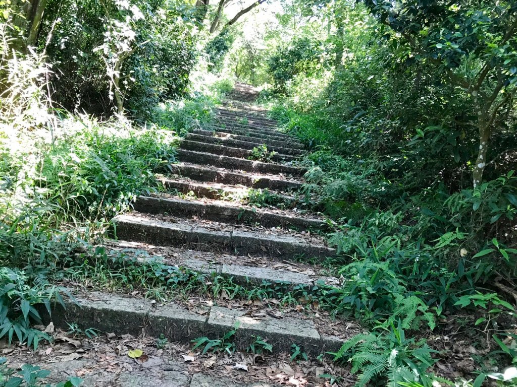 三員縱走下銅鑼_633491