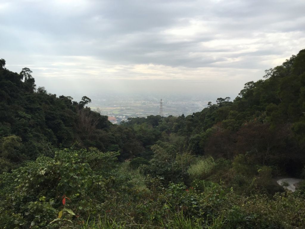 橫山（八卦山脈最高點）_299873