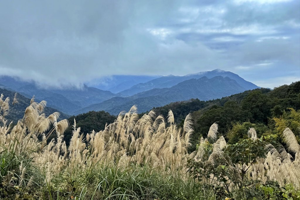 大山背山+騎龍山O繞2025.12.28_2979494