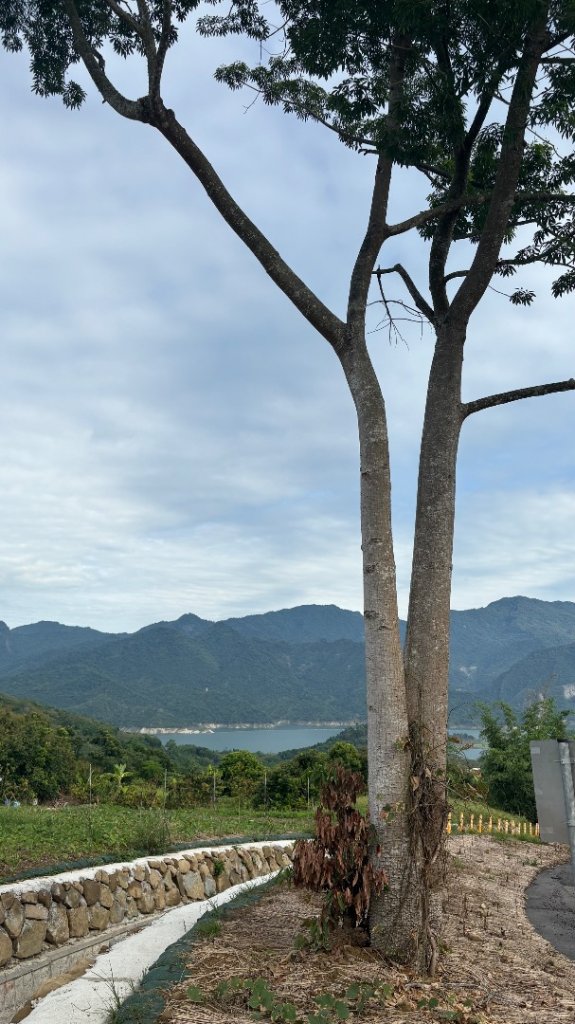 三腳南山_2799521