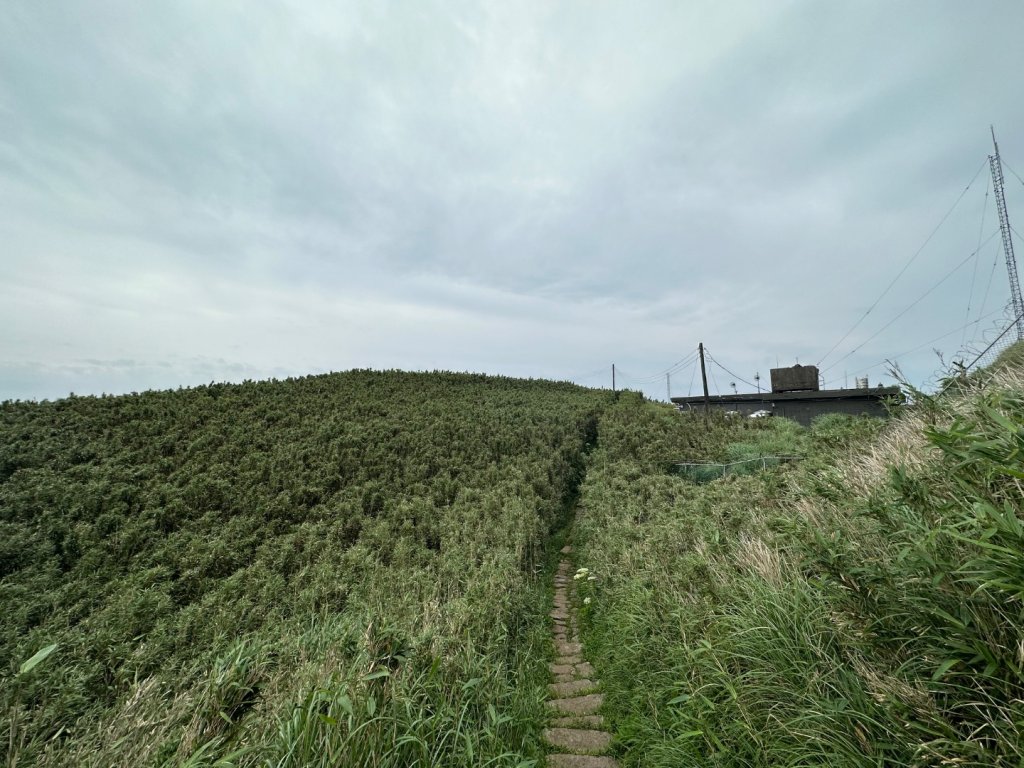 001大屯山_2598475