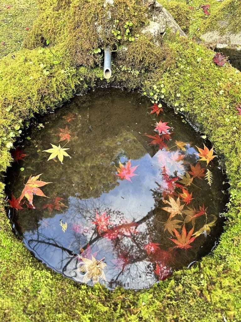 【日本健行】岡山、彥根 (近江八幡、彥根城)、姬路(書寫山圓教寺、世界遺產姬路城、好古園)_2946597