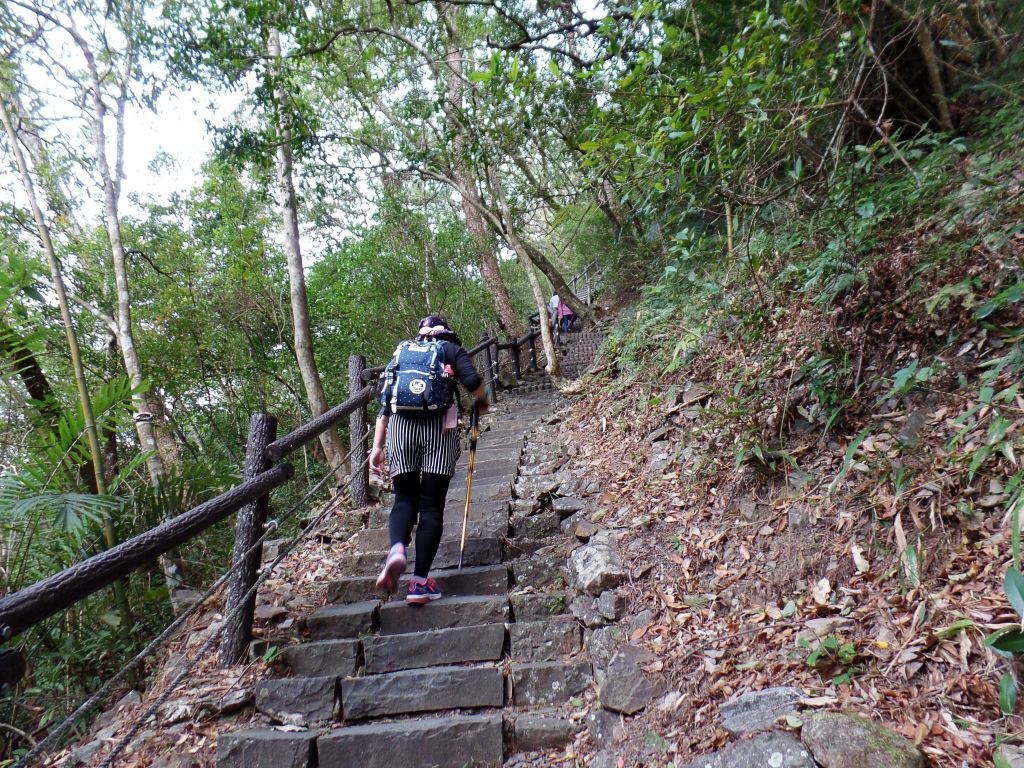 谷關七雄~波津加山_293366