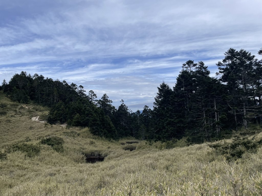 合歡北、西峰(三訪)113.04.21_2492786