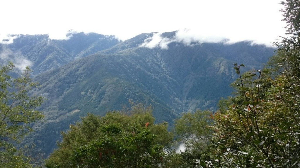 20151024新竹五峰鄉油羅山_27416