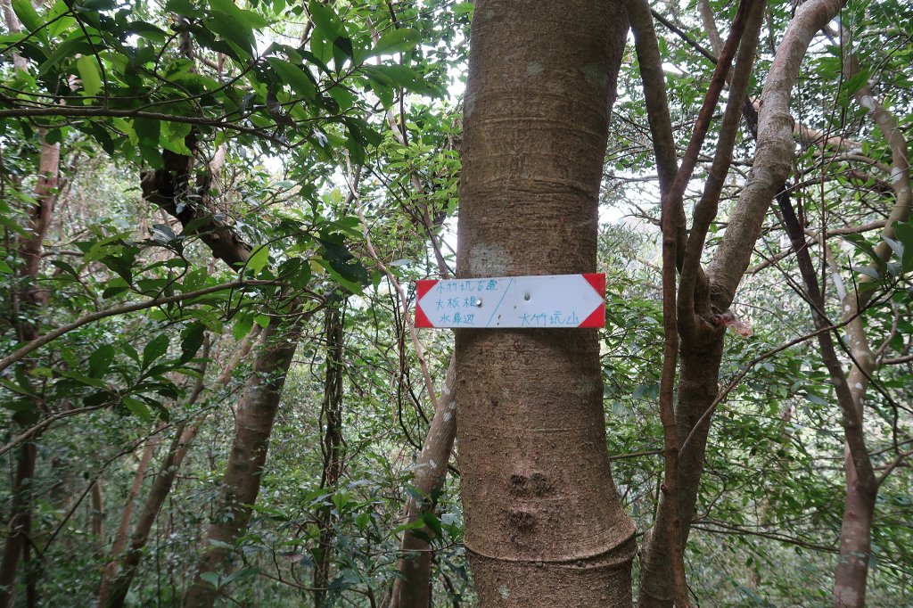 雙石縱走_2771137