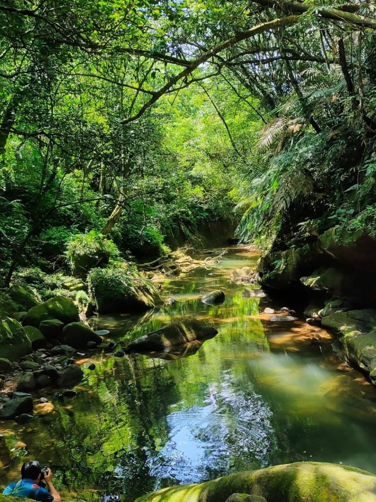 ［瑪陵坑溪秘境+富民公園+焦炭窯+翠谷橋］（基隆七堵）］（2023/7/23）封面圖