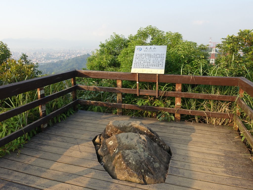 桐花公園、天上山~桐花開了！_943986