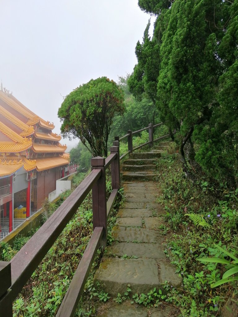 台南東山~山上尋悠。 #65小百岳崁頭山_915977