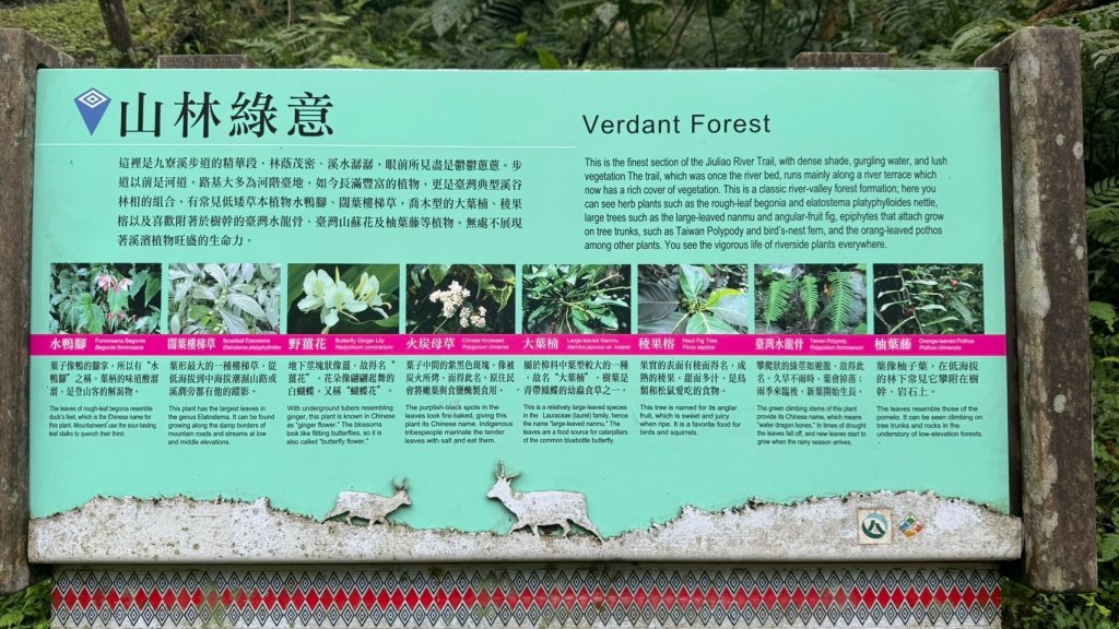 宜蘭九寮溪生態遊憩區-自然步道_2451568