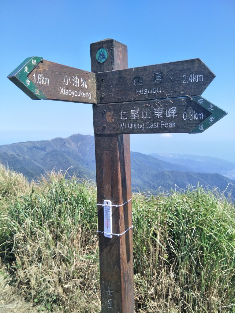 陽明山東西大縱走_1679198