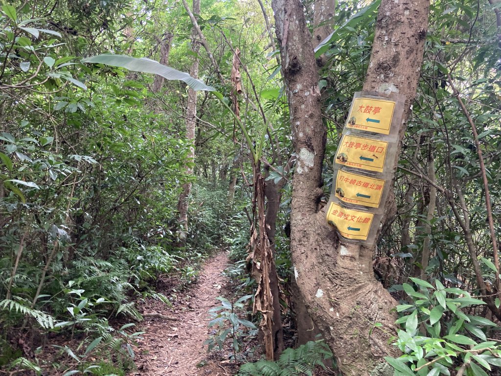 打牛崎古道_2564044
