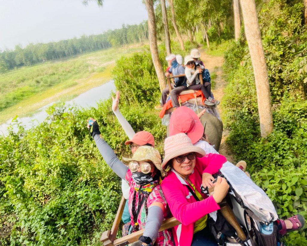 尼泊爾奇旺國家公園4天三夜_2788885