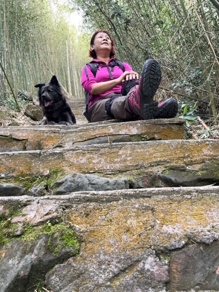 嘉雲二尖山、大尖山_2734873