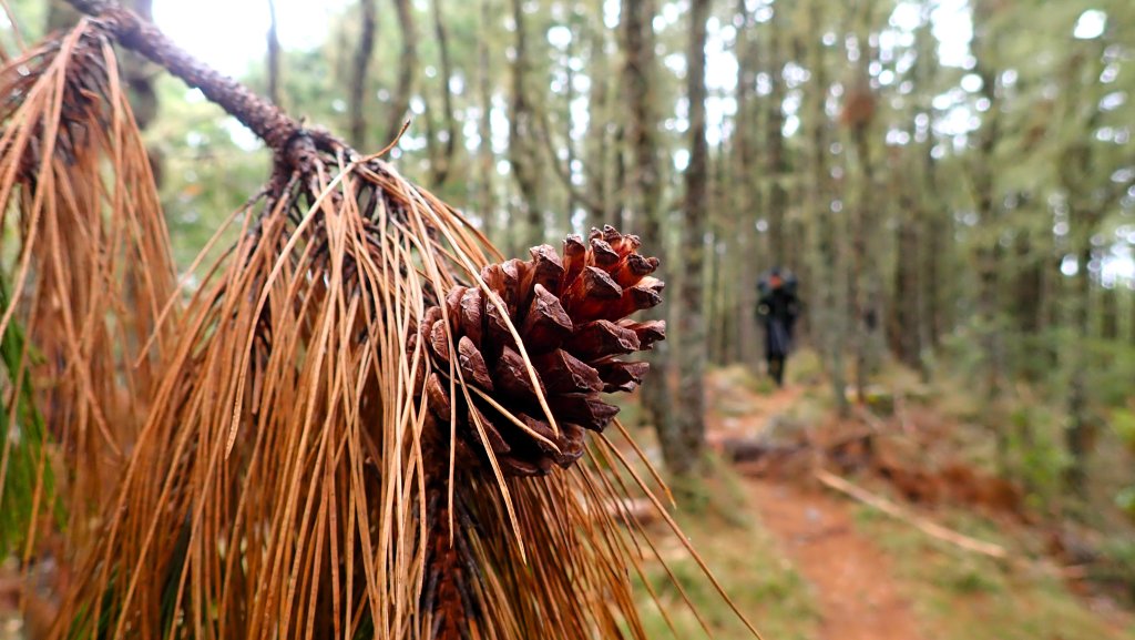 深秋綺麗山景和雲海的饗宴戒茂斯上嘉明湖山遊記_2947389