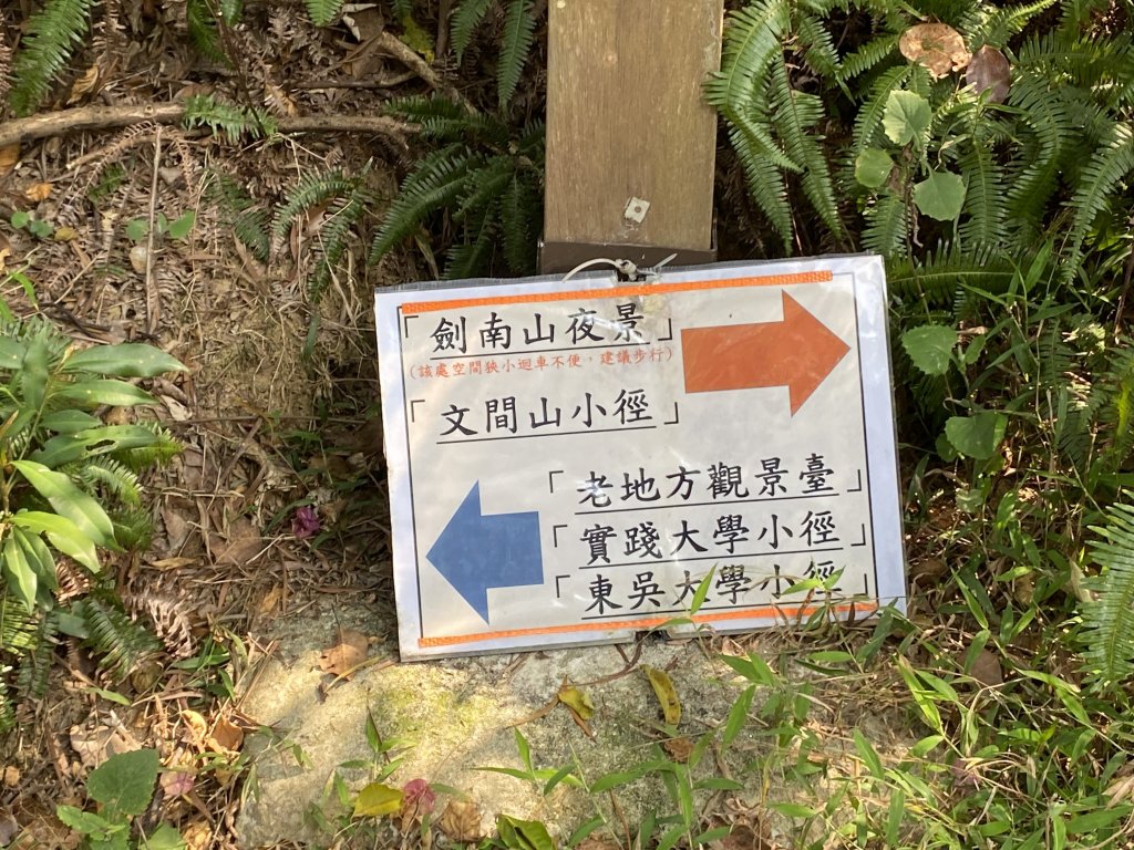 2021.03.20 臺北大縱走第五段_1488188