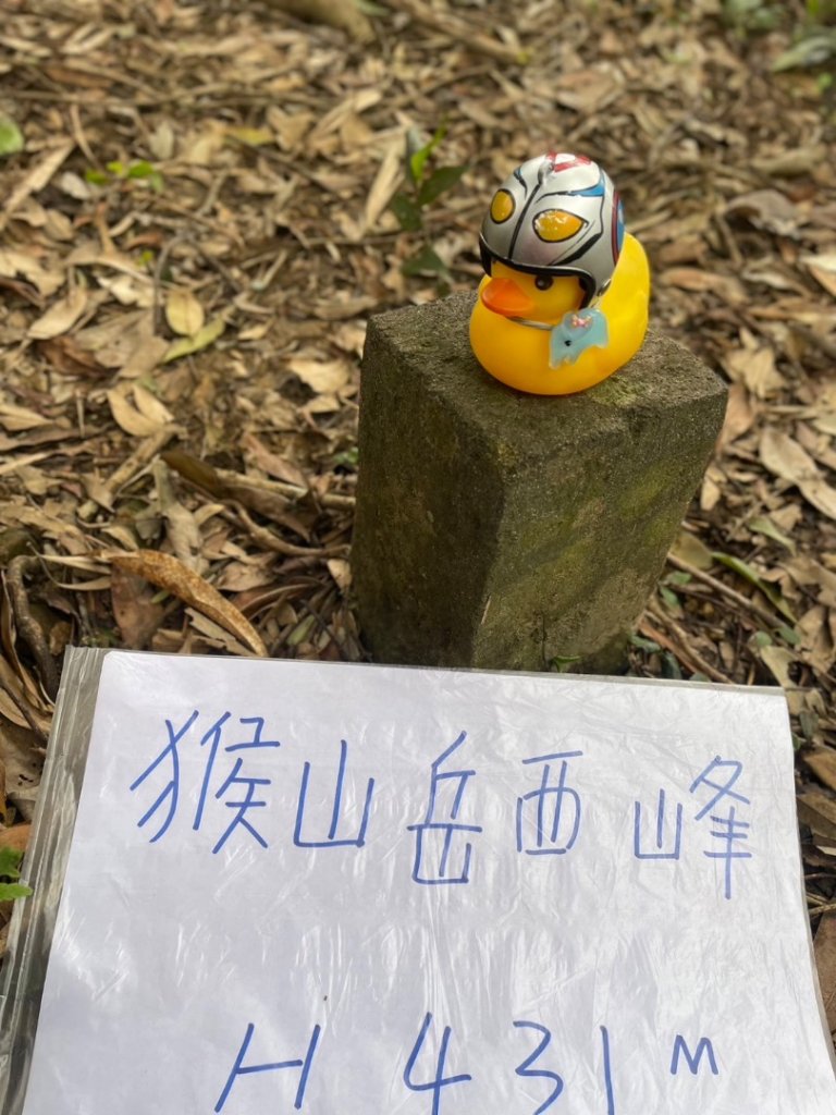 銀河洞越嶺貓空-新高麗坑山-銀獅縱走-猴山岳群峰+三條魚縱走_2699521