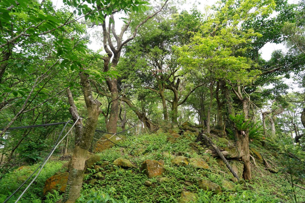 臺北 文山 指南山、猴山岳、魚衡山、大前坑山、猴山坑山、祥光寺後山、金頭山_2774957