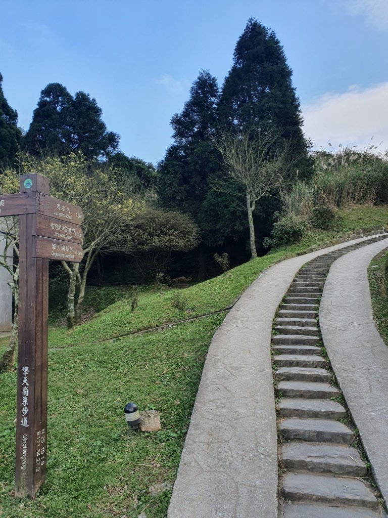 擎天崗-魚路古道封面圖