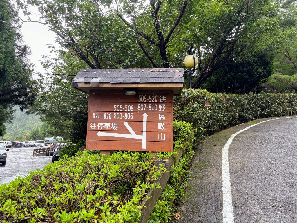 野馬瞰山封面圖