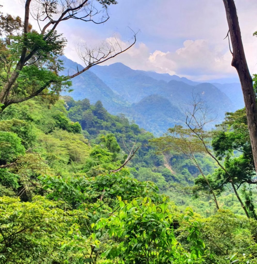 【中級山】谷關七雄唐麻丹山，連走蝴蝶谷瀑布_2741018