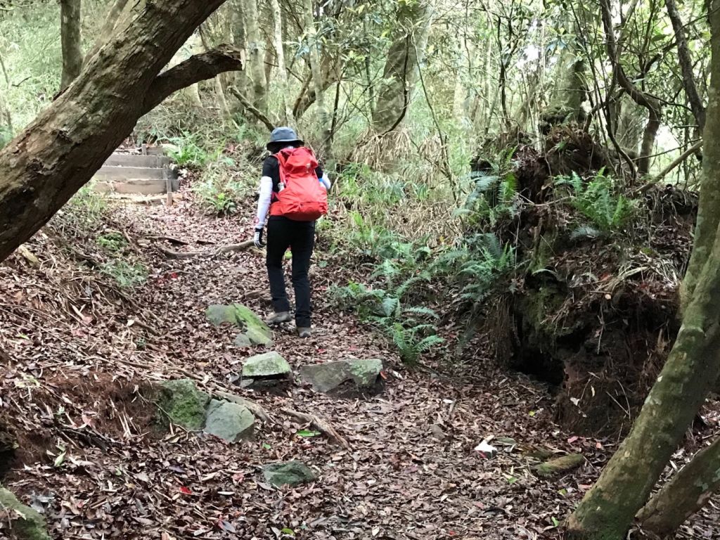 春陽灼灼上八仙_332754