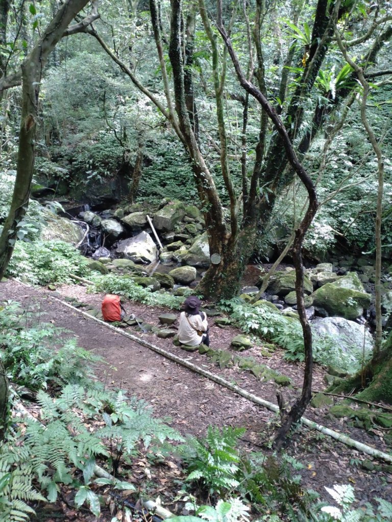 坪頂三圳_2258754