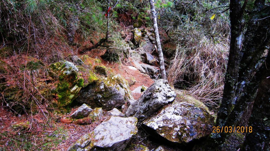 閂山、鈴鳴山 ~ 山巔雲端 , 與美麗山林_307088