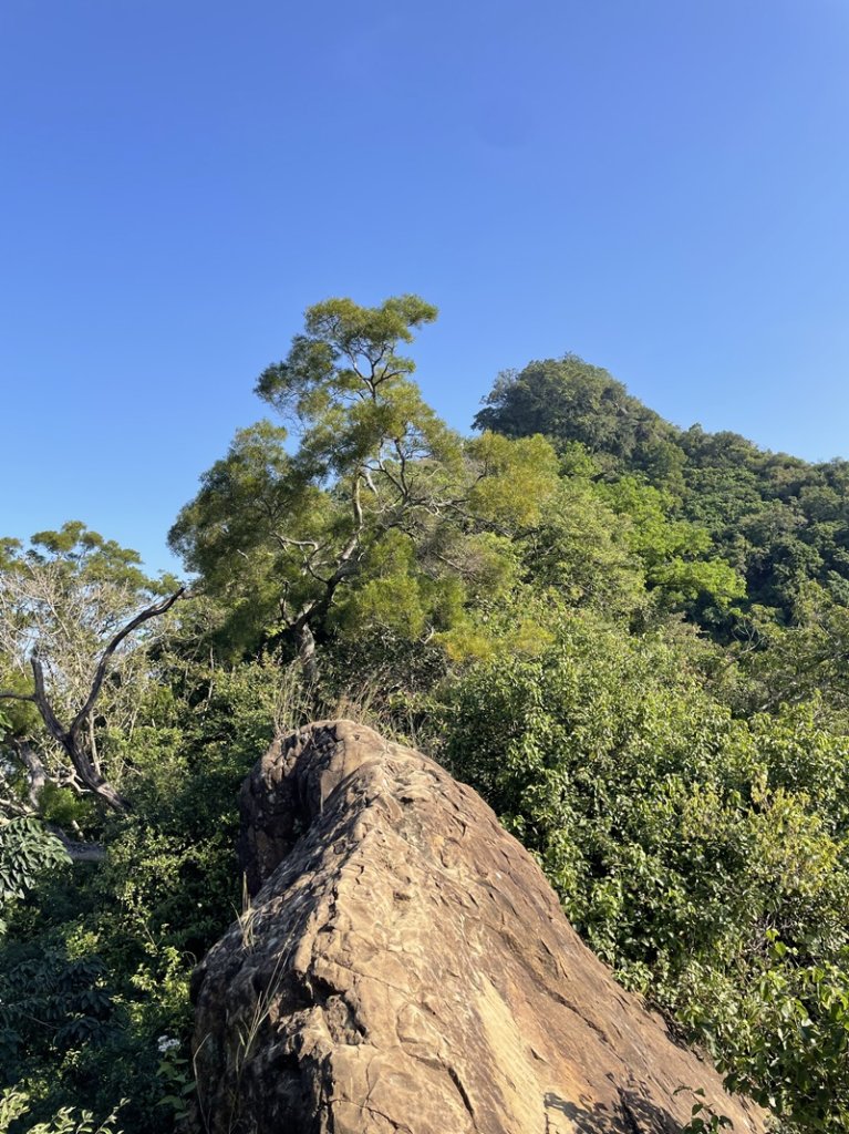 旗靈縱走_2667941