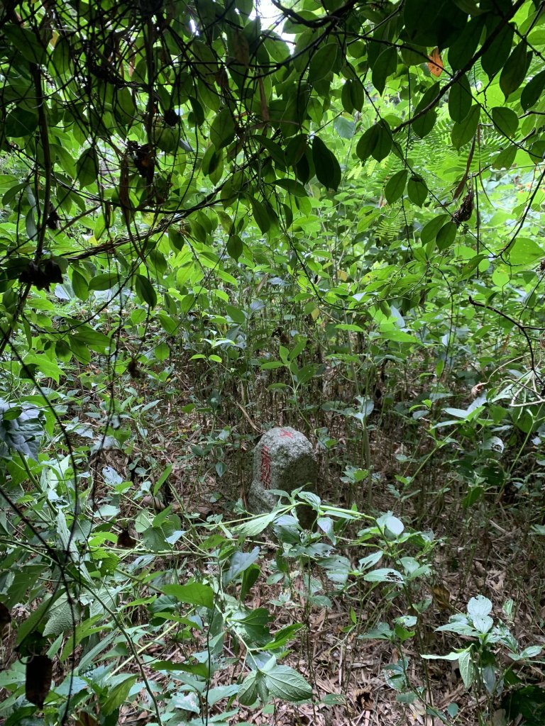 20251024台南邦埤山-三崁山_2925694