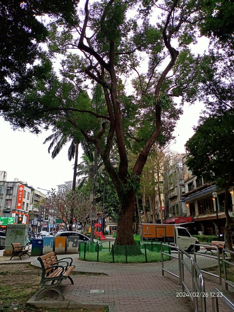 師大公園_2439482