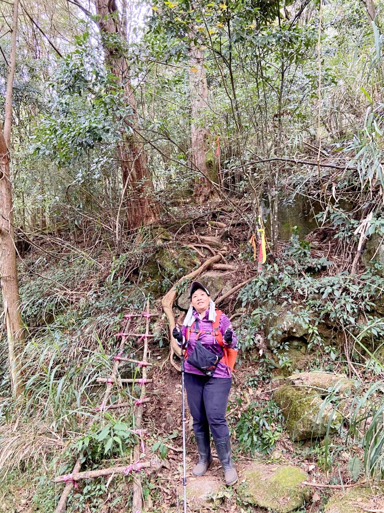 南橫小關山林道登斯拉巴庫山 202116_1233284