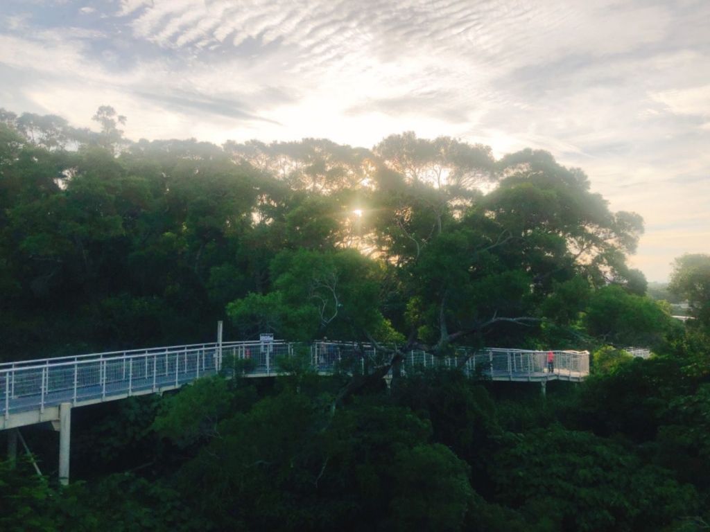 早晨的八卦山天空步道_376859