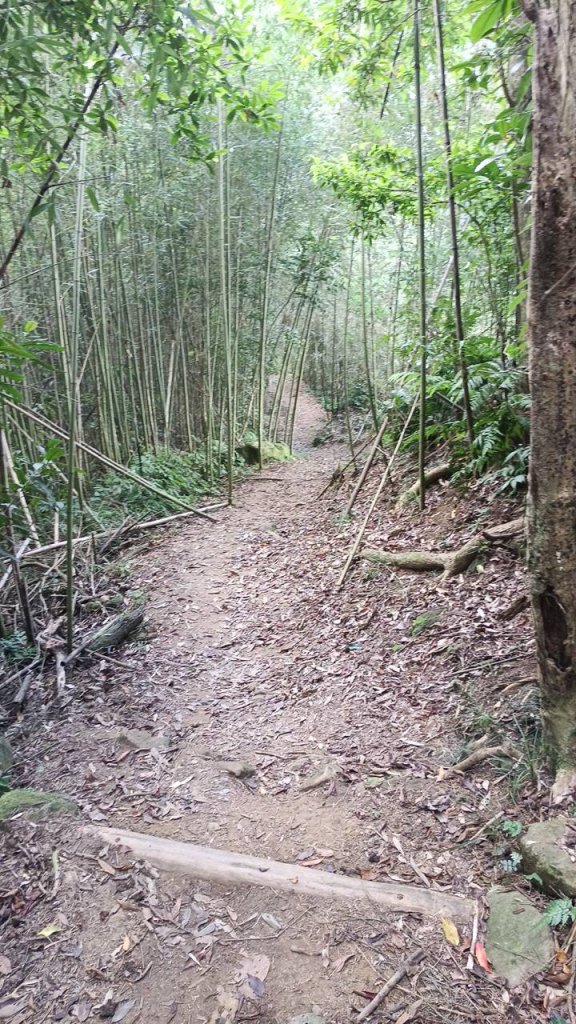20251004 馬那邦山 - 珠湖 登山口_2904775