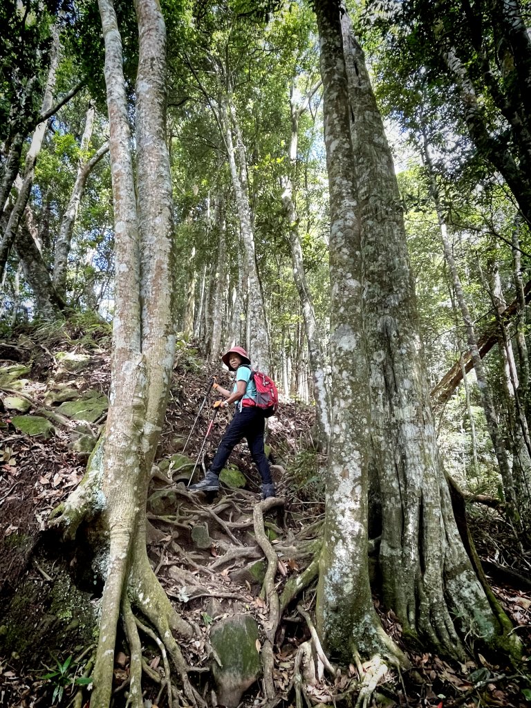 鳥嘴山(上島山) 20230813_2247107