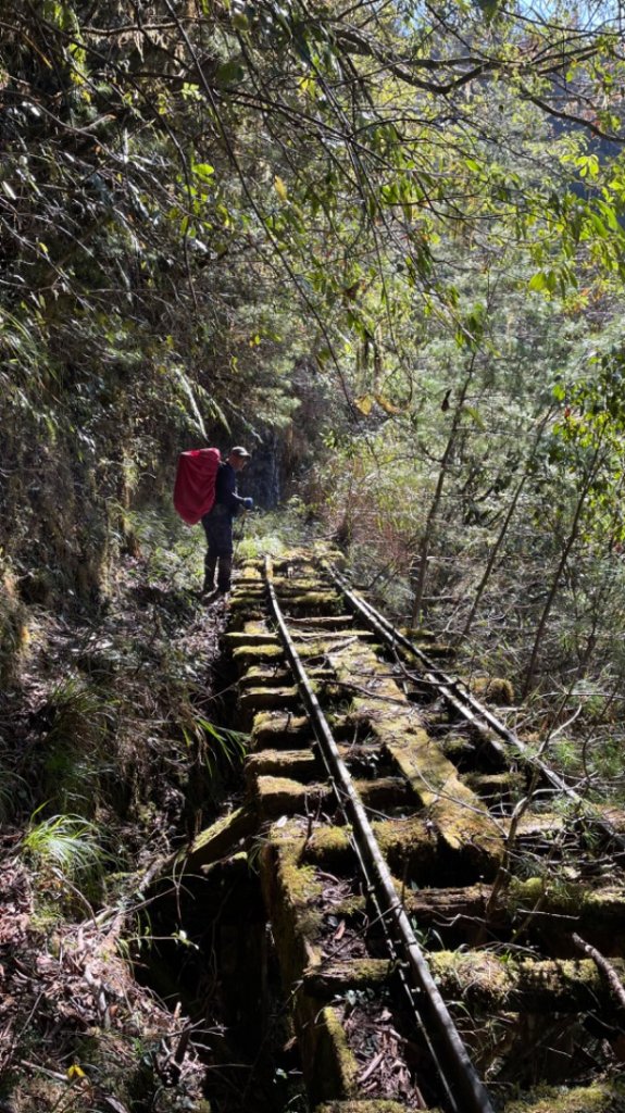 前進嵐山森林鐵道之好山好水好難走的嵐山工作站_2427635