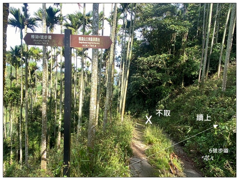 樟湖山 右上左下 (雲林、古坑)_2846309