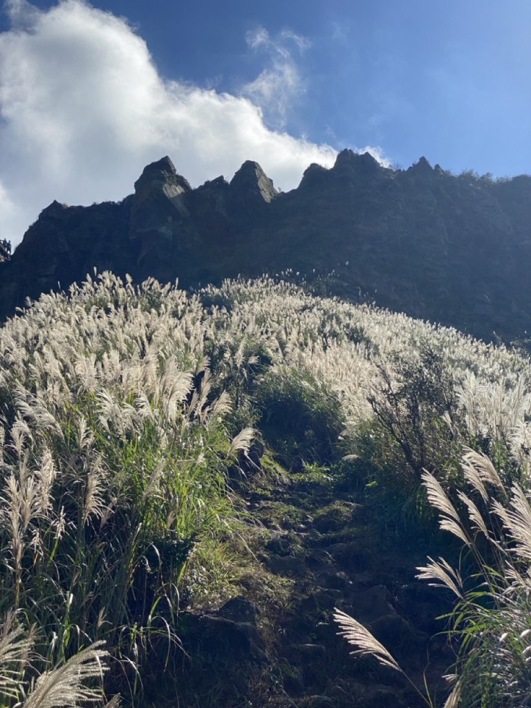 2023/11/23 茶壺山 半平山 燦光寮山 O繞_2389157