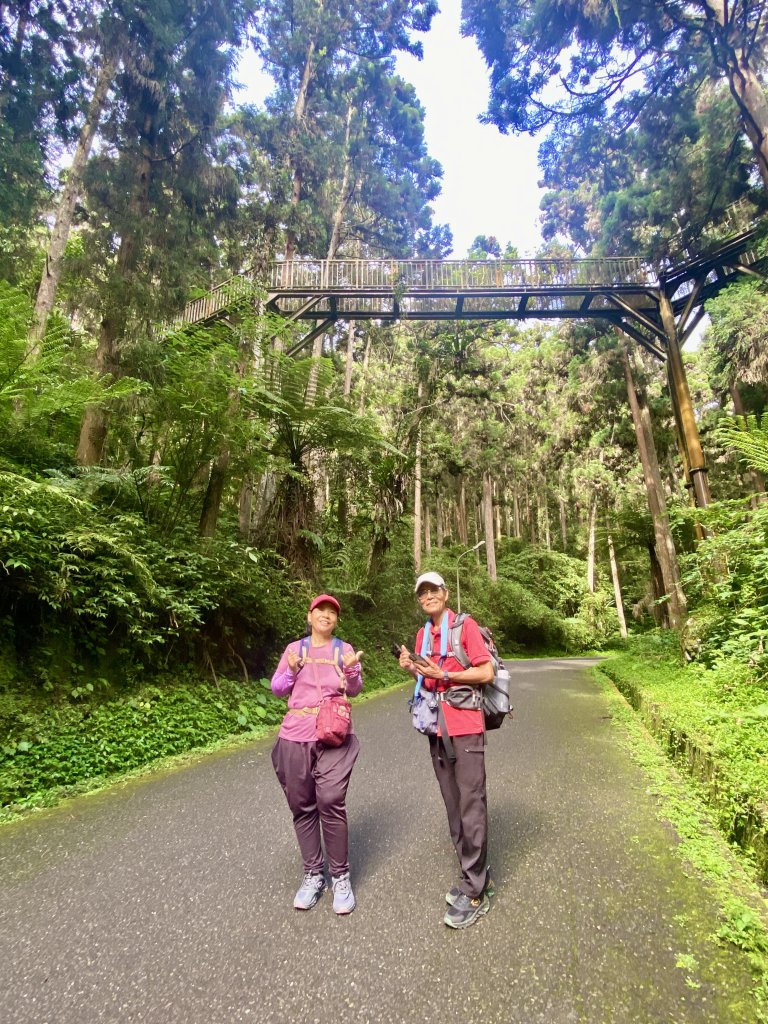 溪頭散步悠遊    2024.5.20_2517692