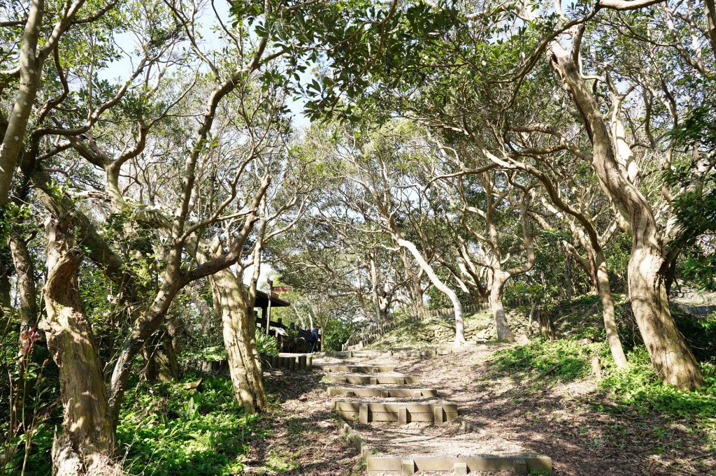 新北 八里 觀音山、牛港稜山_2681370