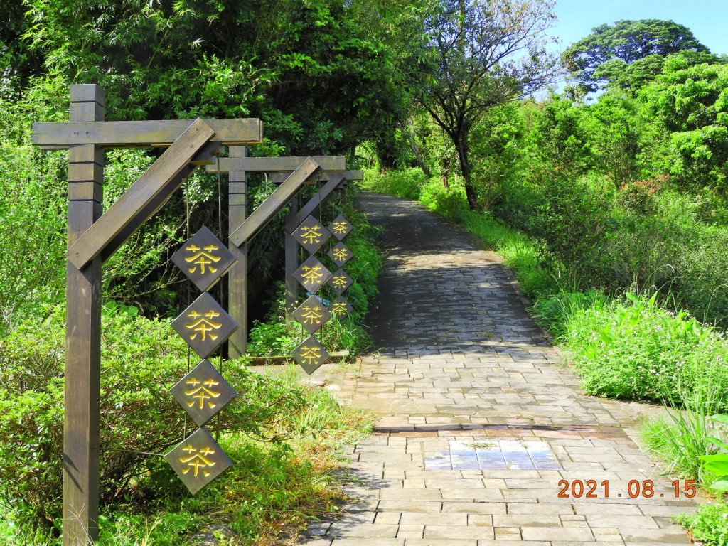 新北 石門 茶山步道、金寶山_1436889