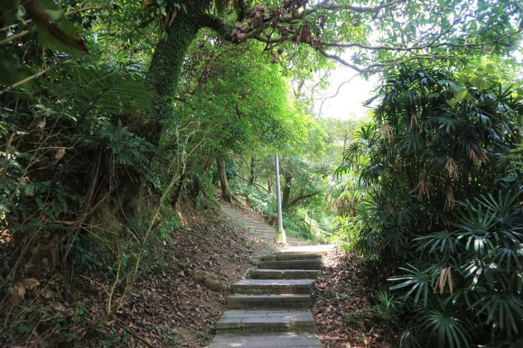 小百岳NO12  汐止大尖山 縱走海拔641公尺 四分子尾山_2228899